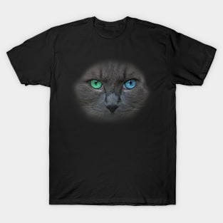 Turkish Angora Cat T-Shirt